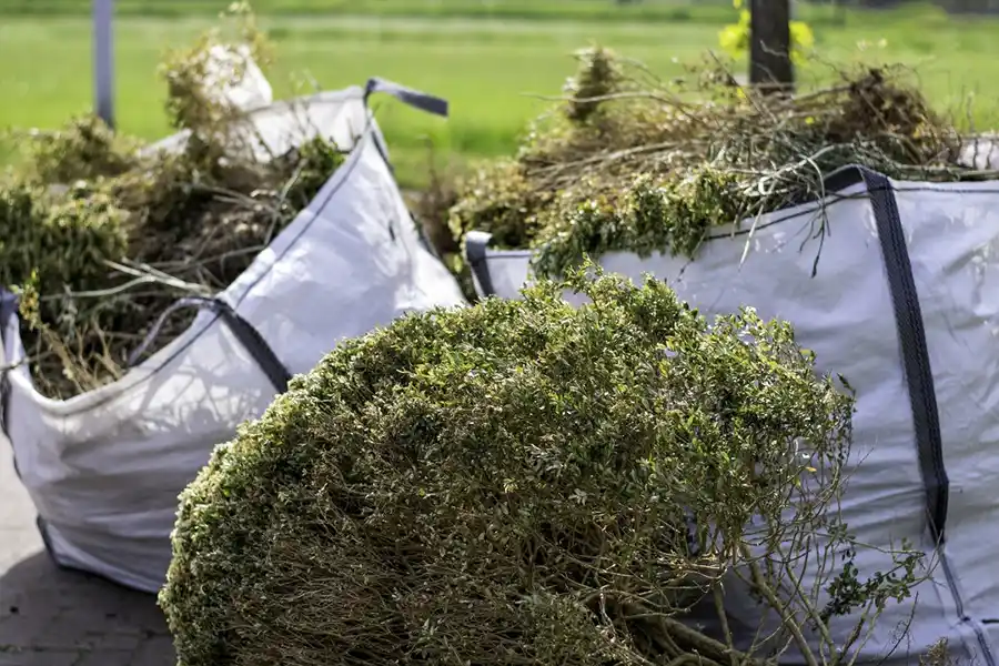 How to clear a yard full of weeds in Boulder, CO