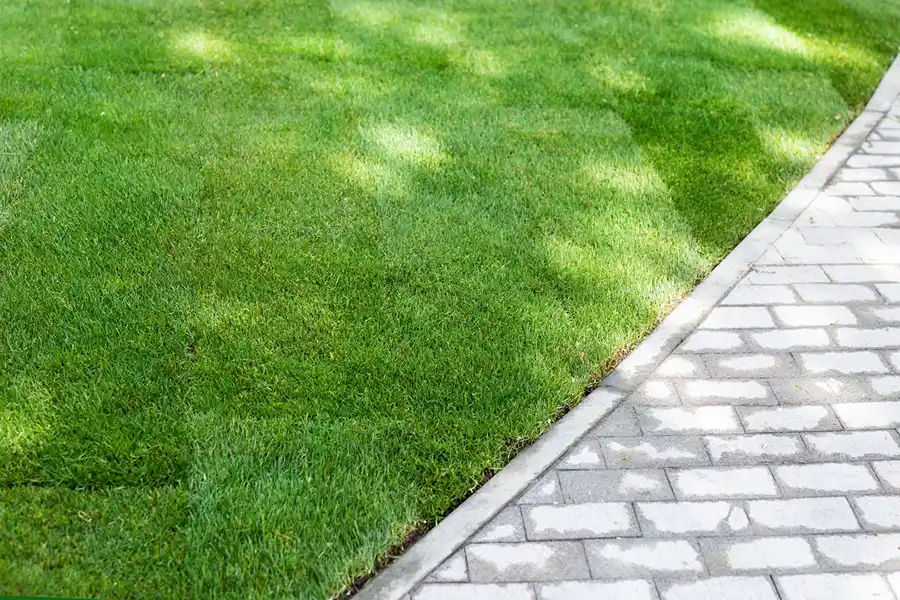 Crisp Lawn Edging