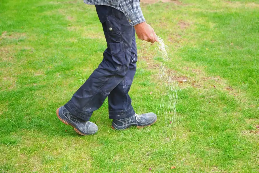 Effective Lawn Fertilization