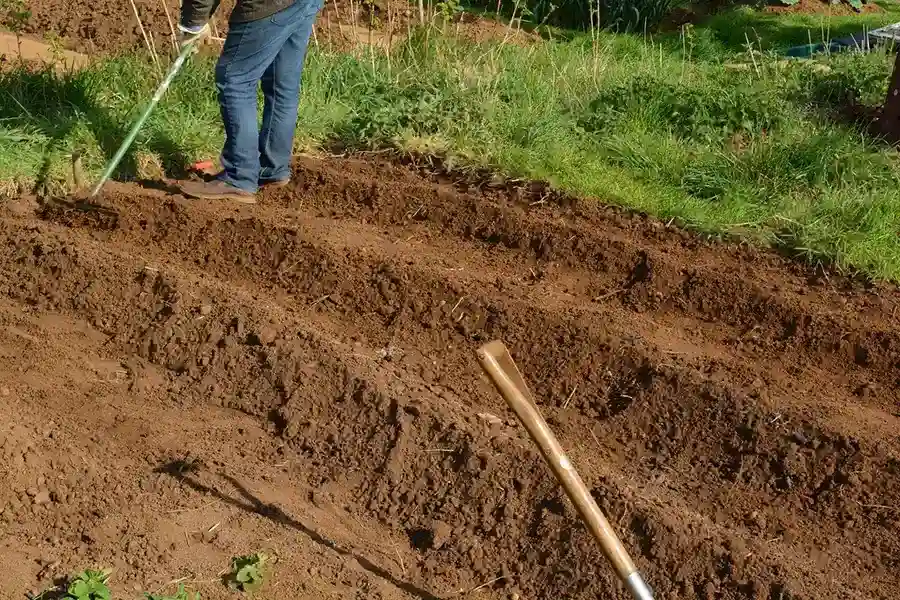 Best Mulching in Boulder, CO