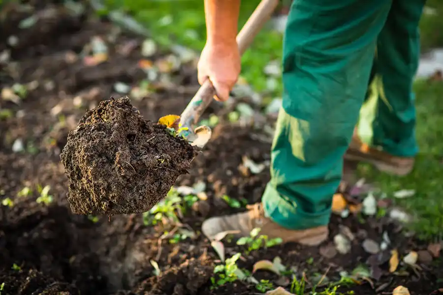 Reliable Mulching in Boulder, CO