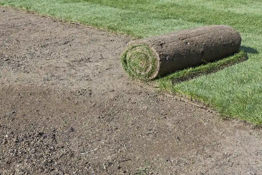 Professional Sod Installation