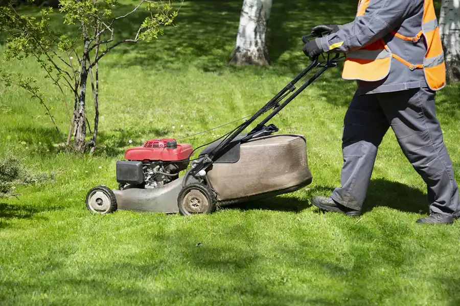 Regular and Reliable Lawn Mowing