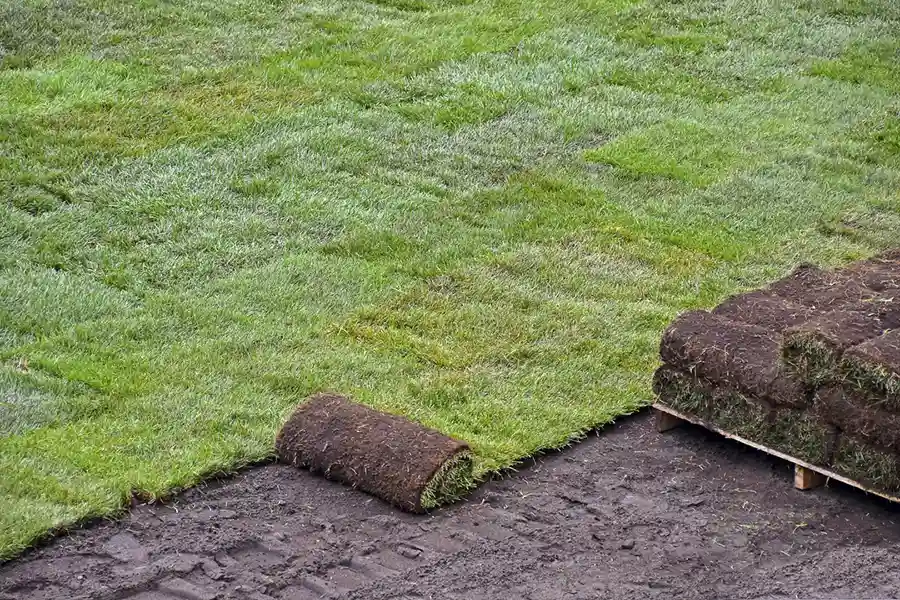 Best Sod Installation in Boulder, CO