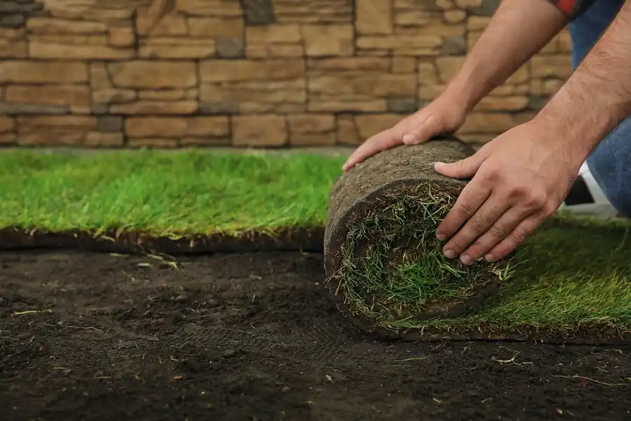 Reliable Sod Installation in Boulder, CO