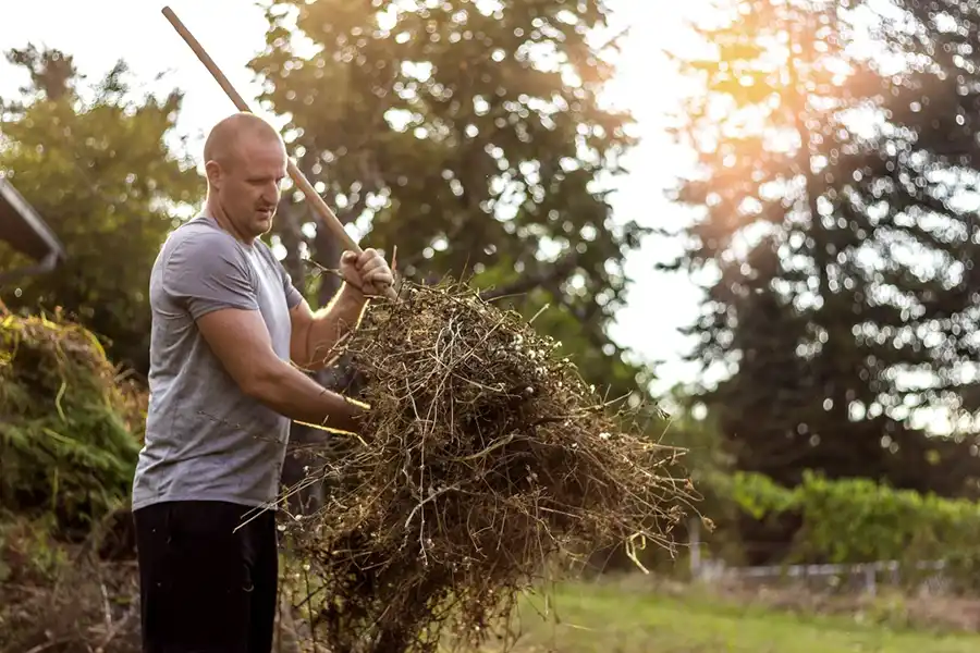 Efficient Yard cleanup in Boulder, CO