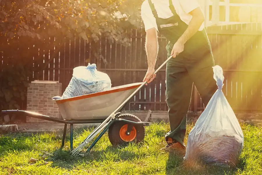 Best Yard cleanup in Boulder, CO